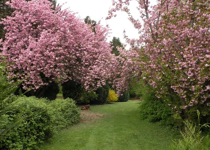 Bed & Breakfast Les Talvasieres